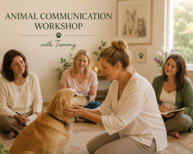 Understanding Animals – Review