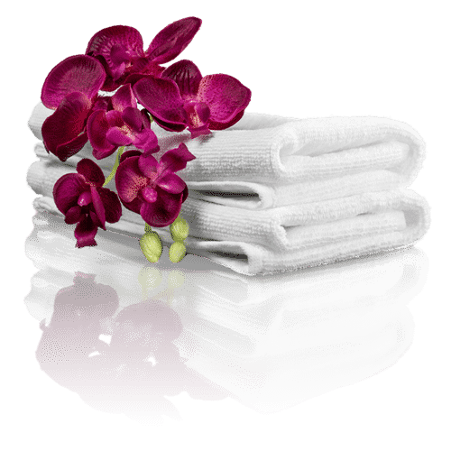 Sue Maitland – Soul Connection Access Bars & Spiritual Coaching