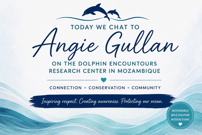 Dolphin Encountours Research with Angie Gullan