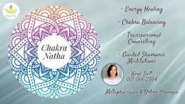 kaye-salt-interview-images