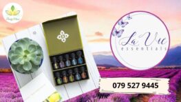 virginie-mulder-interview-images