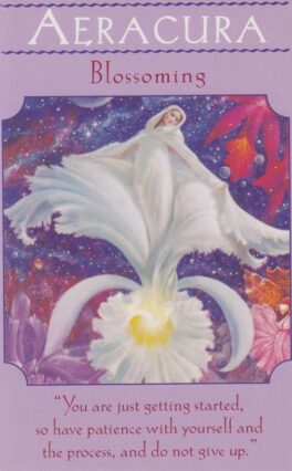 aeracura-blossoming
