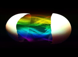 changeyourperspective