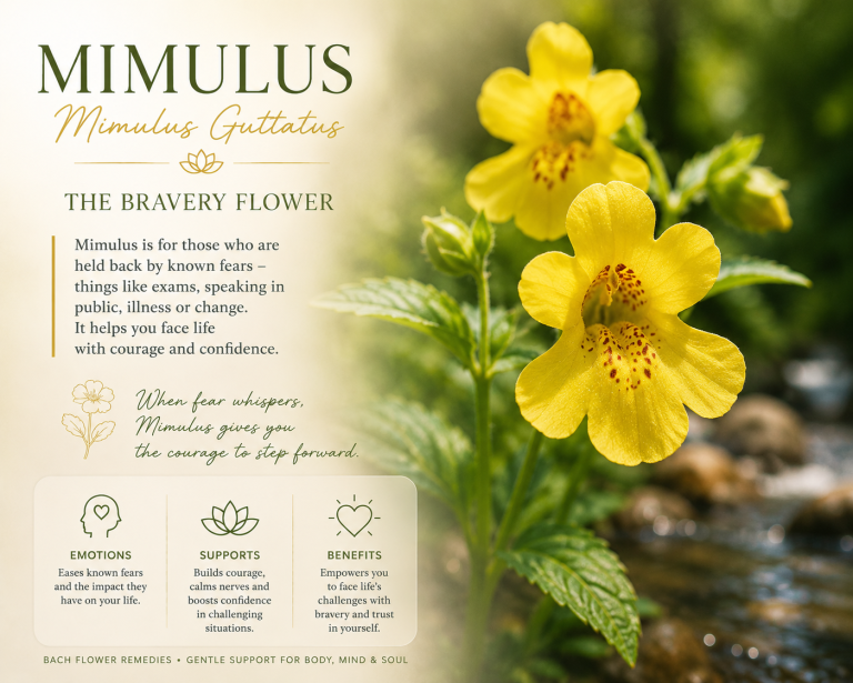 The Bravery Flower