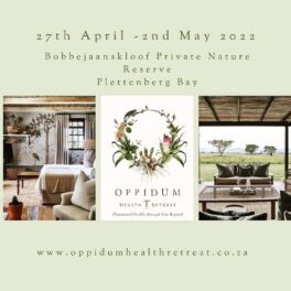 Gut Health Retreat