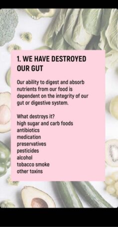 We Have destroyed our environment