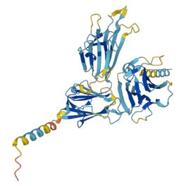 _20220729_on_protein_gametocytesurface