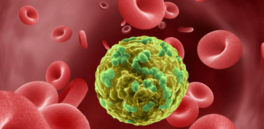 screenshot-2022-10-05-at-21-50-10-breakthrough-in-understanding-of-how-cancer-spreads-could-lead-to-better-treatments