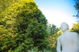 Chantell-Flores_B7B4970