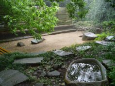 WhatsApp Image 2023-01-16 at 16.10.00