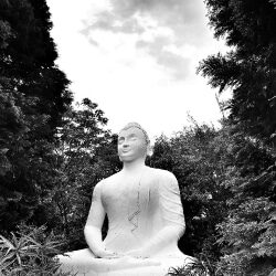 buddhist_statues_shrines__icons_1_20190111_1001501784