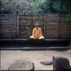 buddhist_statues_shrines_and_icons_20121121_1265439244