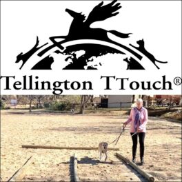 tellington-ttouch-2