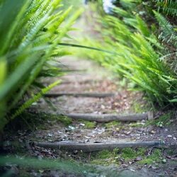 environment_19_20150206_1657596043