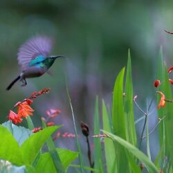 environment_1_20150206_1253799082