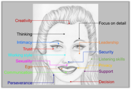 Physiognomy-face layout
