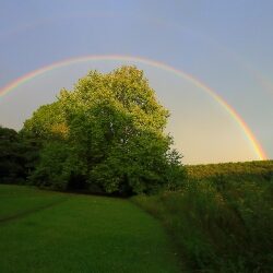 environment__4_20190111_1373595155-2