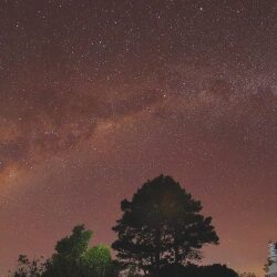 flora_and_fauna_3_20220626_1953768421