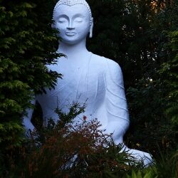 stupa_1_20220626_1801505713