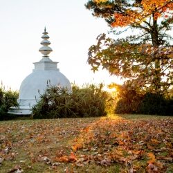 stupa_in_autumn_1_20171010_1518094195