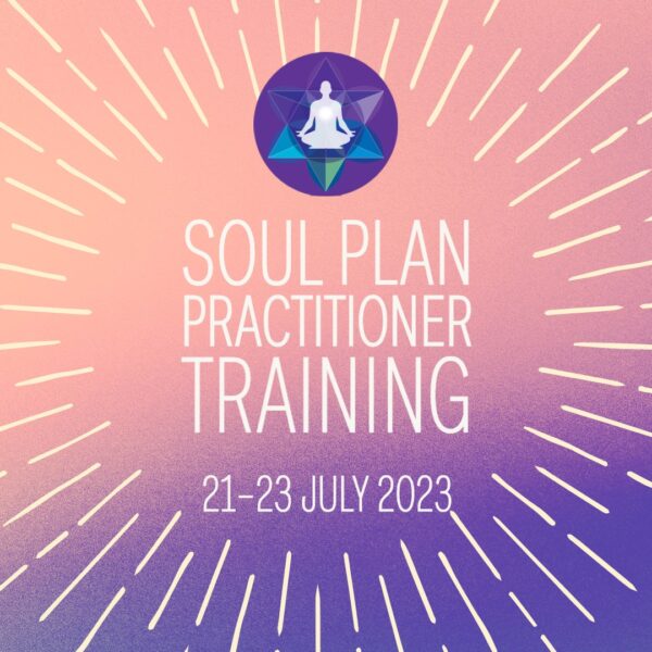 Soul Plan Practitioner Training