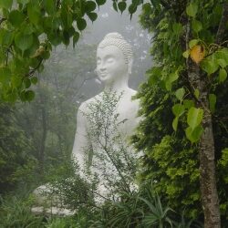 buddha_20121123_1510296479