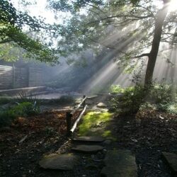 buddhist_statues_shrines_and_icons_20121121_2033595950