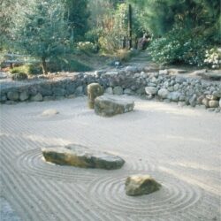 no_description_38_20121121_1858795152