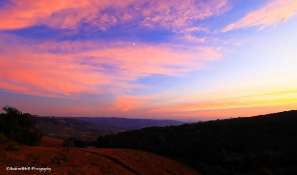 Ixopo Dawn