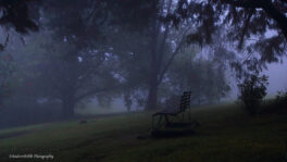 Andrew-Brown-bench-in the mist-2-brc