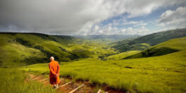 ajahn-sucitto-walking-like-a-buddha1