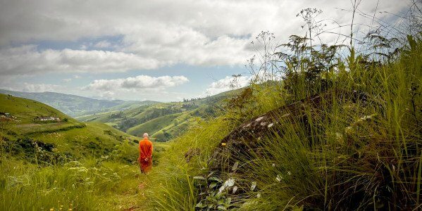 ajahn-sucitto-walking-lke-abuddha2