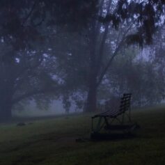 Misty Morniing BRC