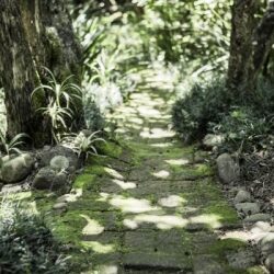 Walk you Path