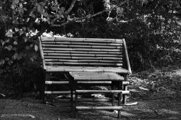 bamboo bench 2a
