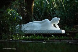 in repose a