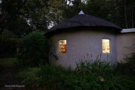 library dawn a