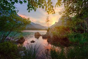 nature