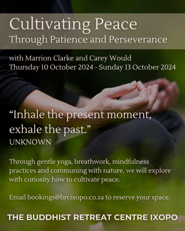 Cultivating Peace