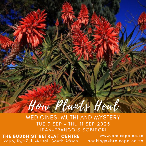 How Plants Heal 9-11 sep 2025