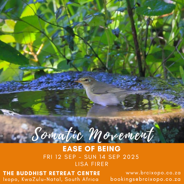Somatic Movement-Ease of Being12-14 sep 2025