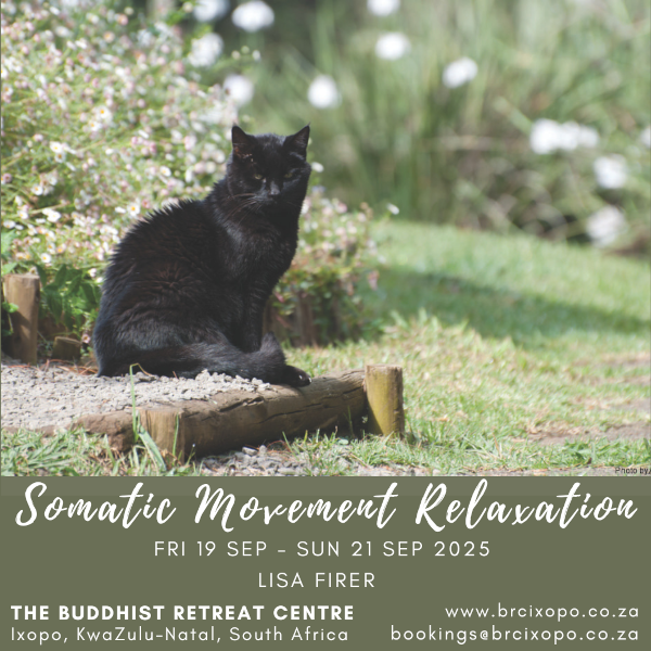 somatic-movement-relaxation19-21sep2025-2