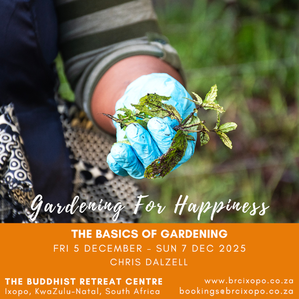 gardening-for-happiness5-7dec2025