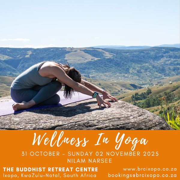 wellness-in-yoga310ct-2nov2025-1