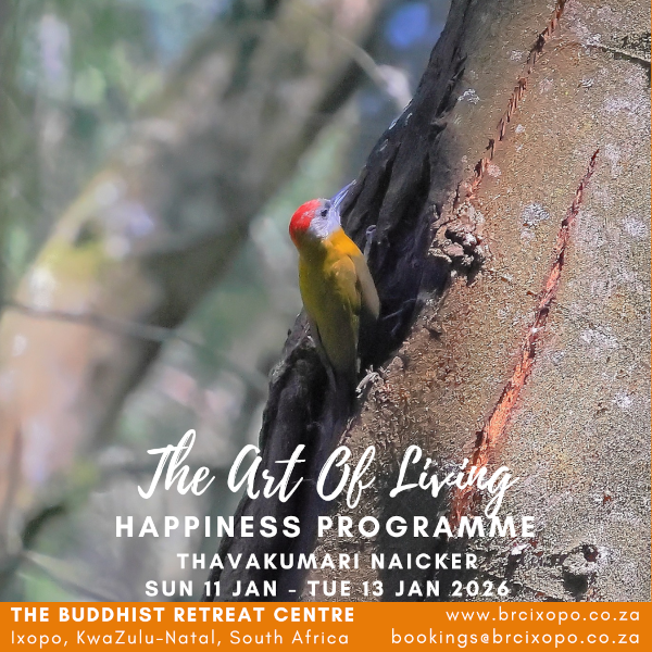 art-of-living-happiness-t