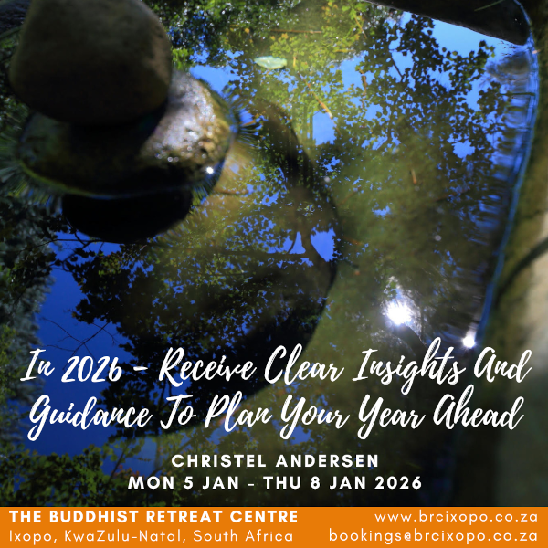 clear-insights2026