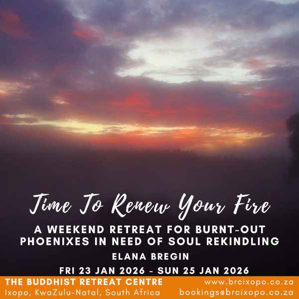 renew-your-fire
