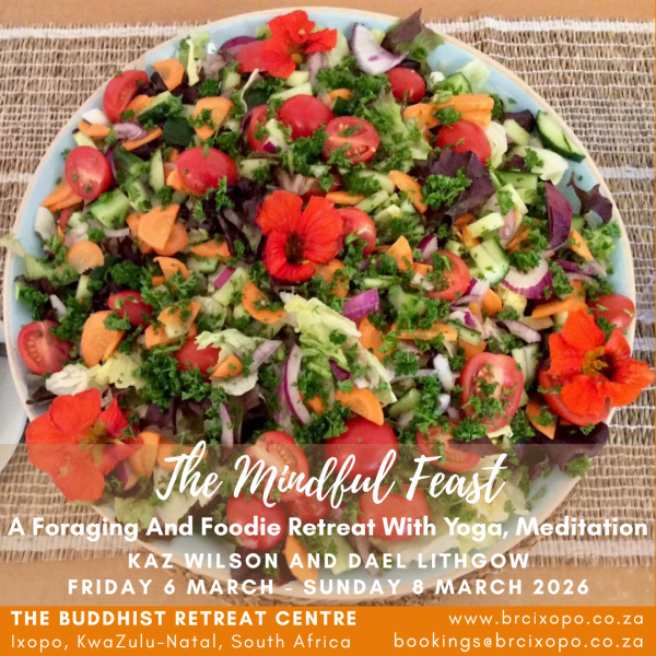mindfulfeast