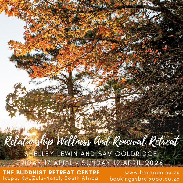 relationship-wellness
