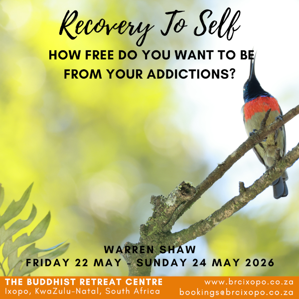 nn-recovery to self2